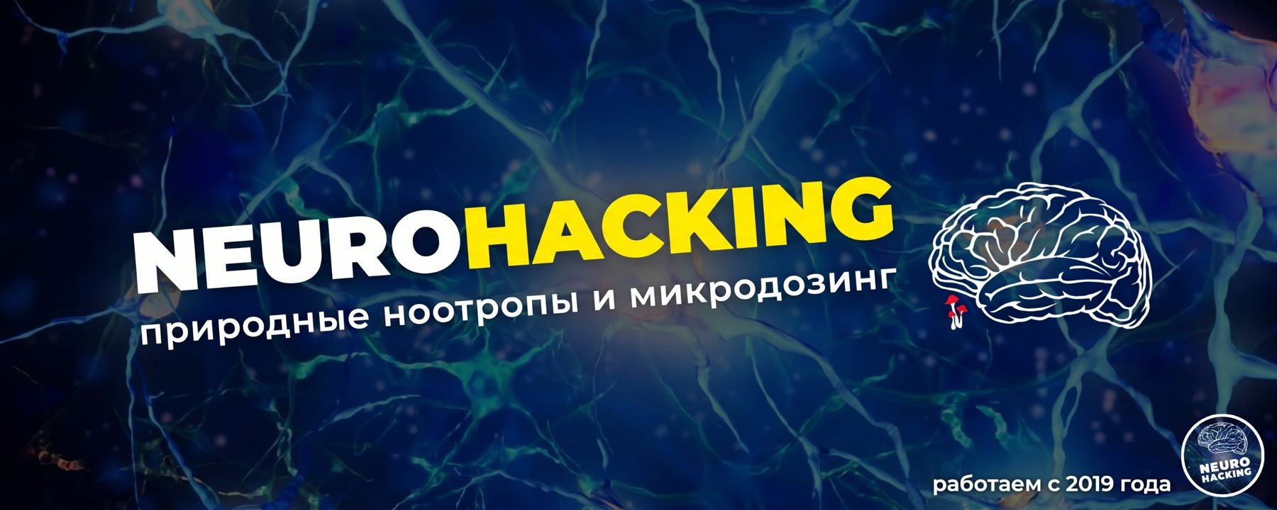 NeuroHacking: природные ноотропы и микродозинг