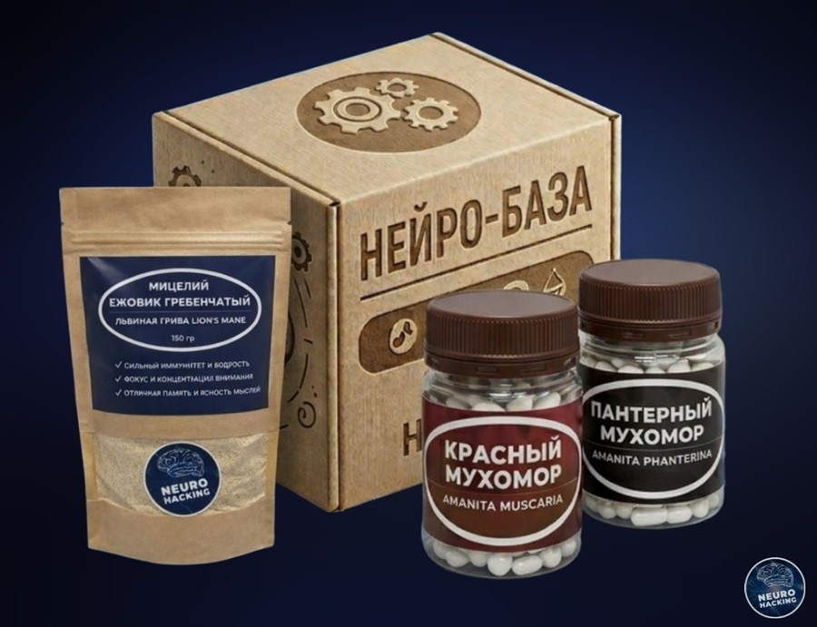Комбо Нейро-База
