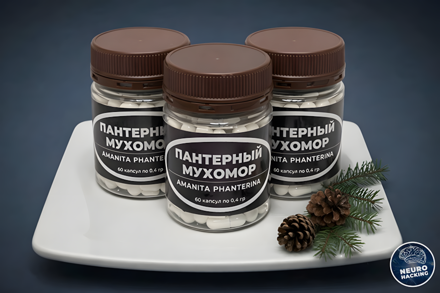 Мухоморы пантерные в капсулах